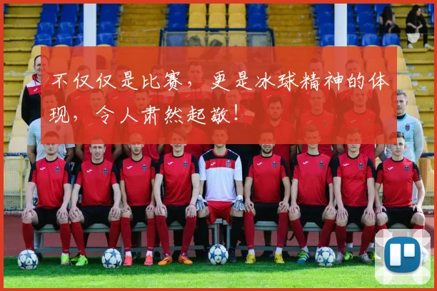 不仅仅是比赛,更是冰球精神的体现,令人肃然起敬!