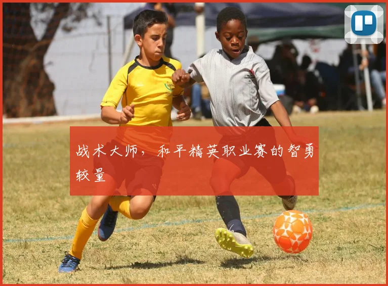 战术大师，和平精英职业赛的智勇较量