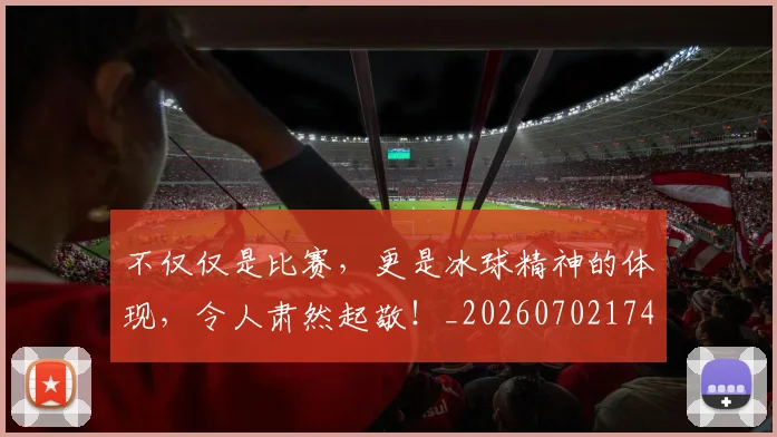 不仅仅是比赛,更是冰球精神的体现,令人肃然起敬!_20260702174303